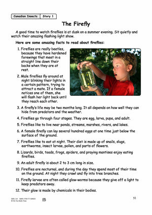 The Firefly Reading Lesson Grades 3-4