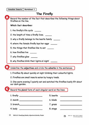 The Firefly Reading Lesson Grades 3-4