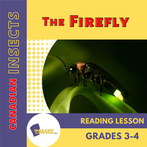 The Firefly Reading Lesson Grades 3-4