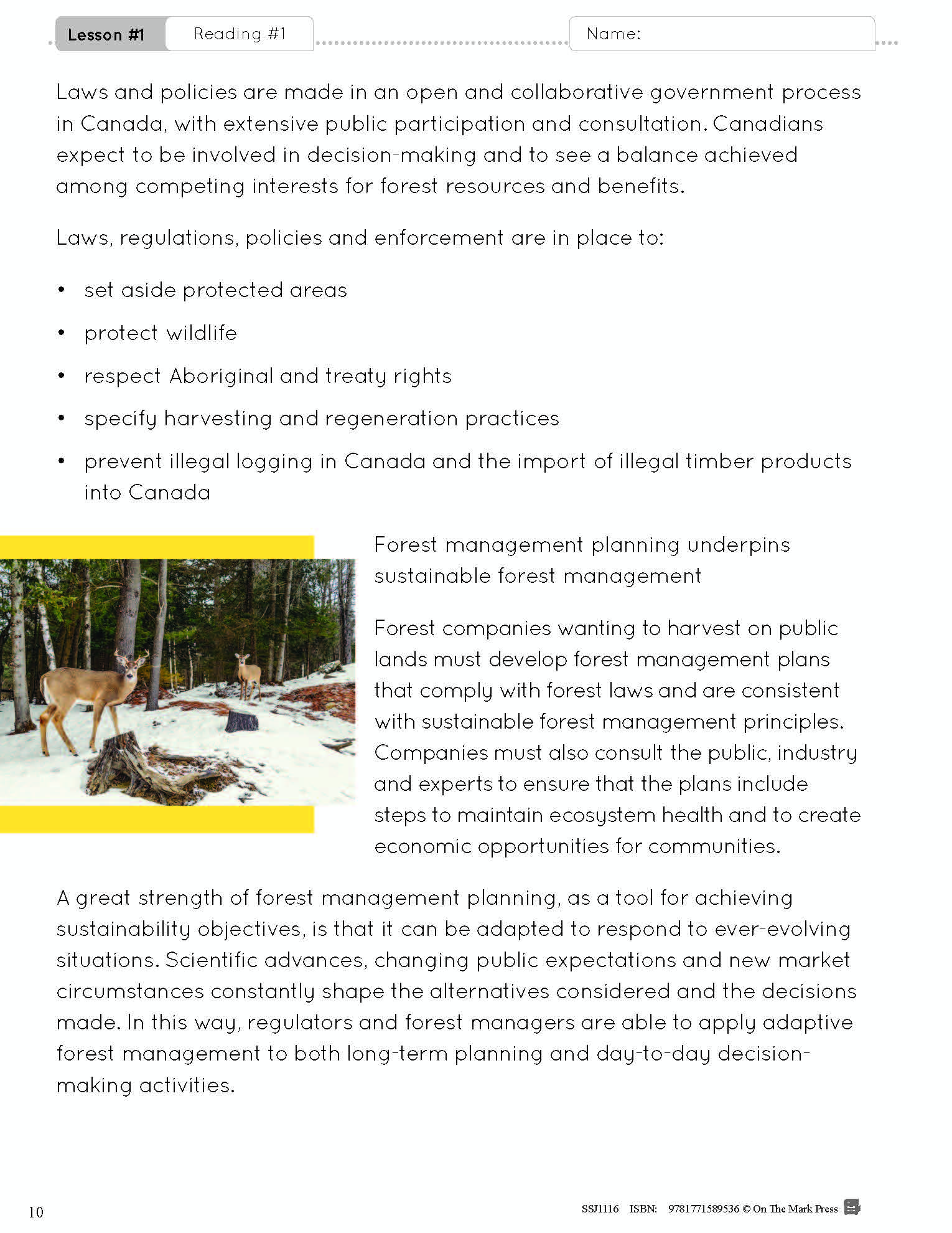 Ontario Grade 8 History & Geography 4 Book Curriculum Savings Bundle!