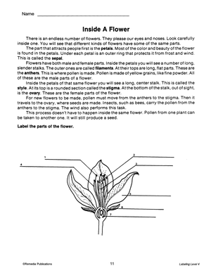 Labeling for Comprehension: Gr. 5-12, R.L. 4