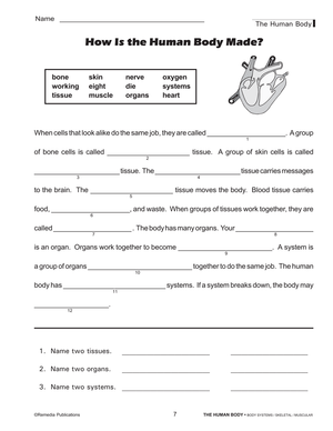 The Human Body: Skeletal & Muscular Systems Gr. 4+, R.L. 3-4