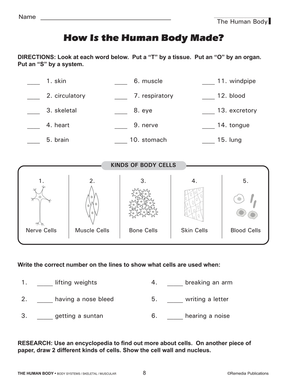 The Human Body: Skeletal & Muscular Systems Gr. 4+, R.L. 3-4