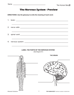 The Human Body: Nervous, Sensory, Respiratory Systems Gr. 4+, R.L. 3-4