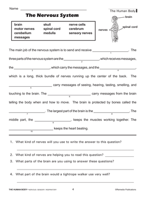 The Human Body: Nervous, Sensory, Respiratory Systems Gr. 4+, R.L. 3-4