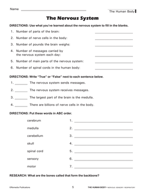 The Human Body: Nervous, Sensory, Respiratory Systems Gr. 4+, R.L. 3-4