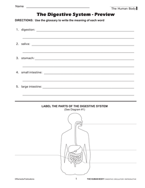 The Human Body: Digestive, Circulatory, Reproductive, & Excretory Systems Gr. 4+