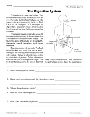 The Human Body: Digestive, Circulatory, Reproductive, & Excretory Systems Gr. 4+