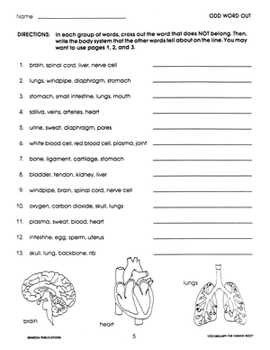 Science Vocabulary: The Human Body Gr. 4-8