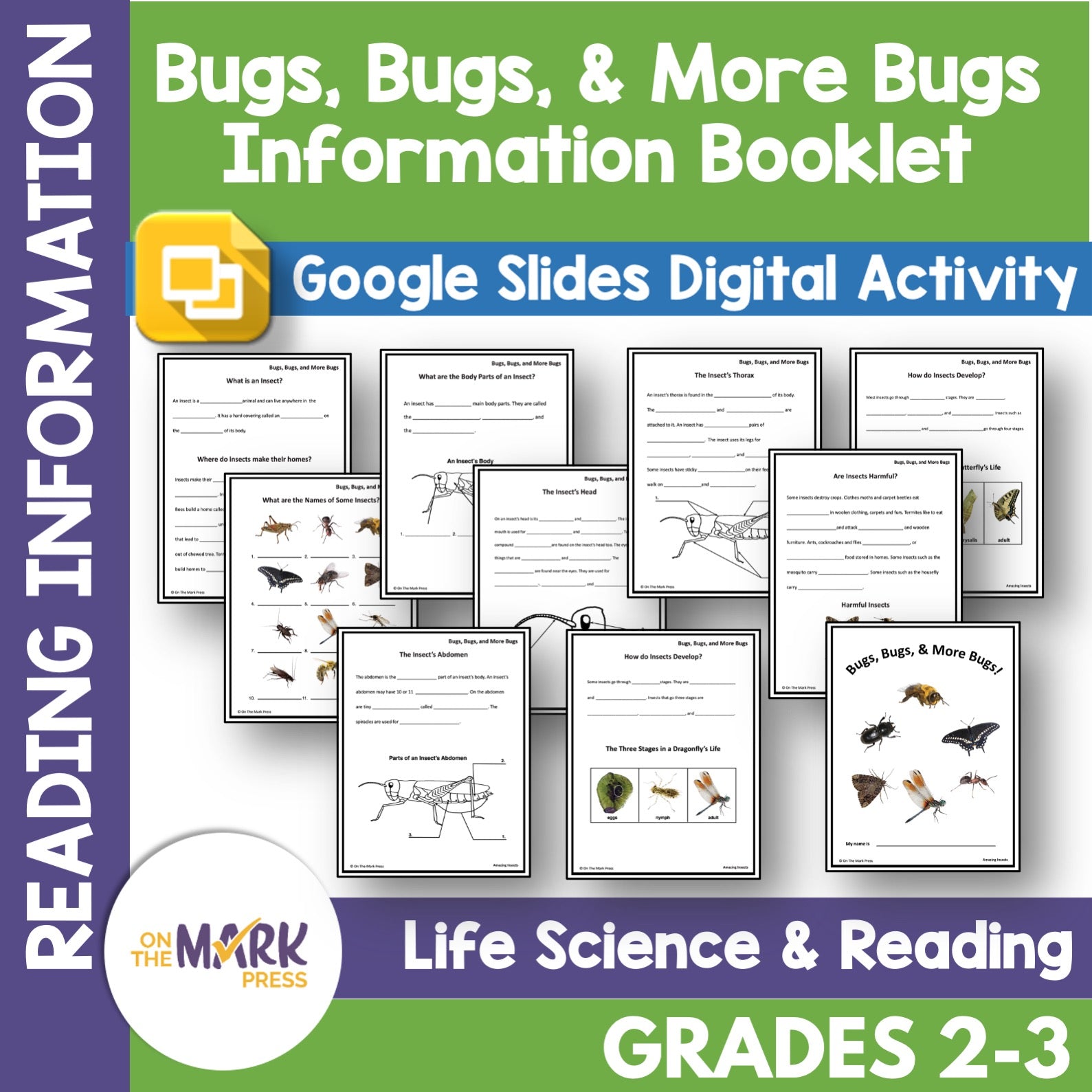 Bugs, Bugs & More Bugs Reproducible Student Booklet Grades 2-3 Google Slides & Printables