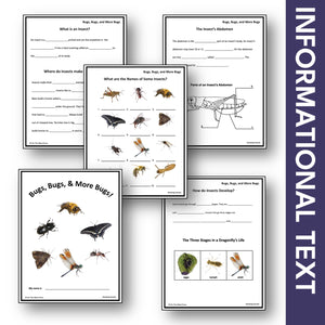 Bugs, Bugs & More Bugs Reproducible Student Booklet Grades 2-3 Google Slides & Printables