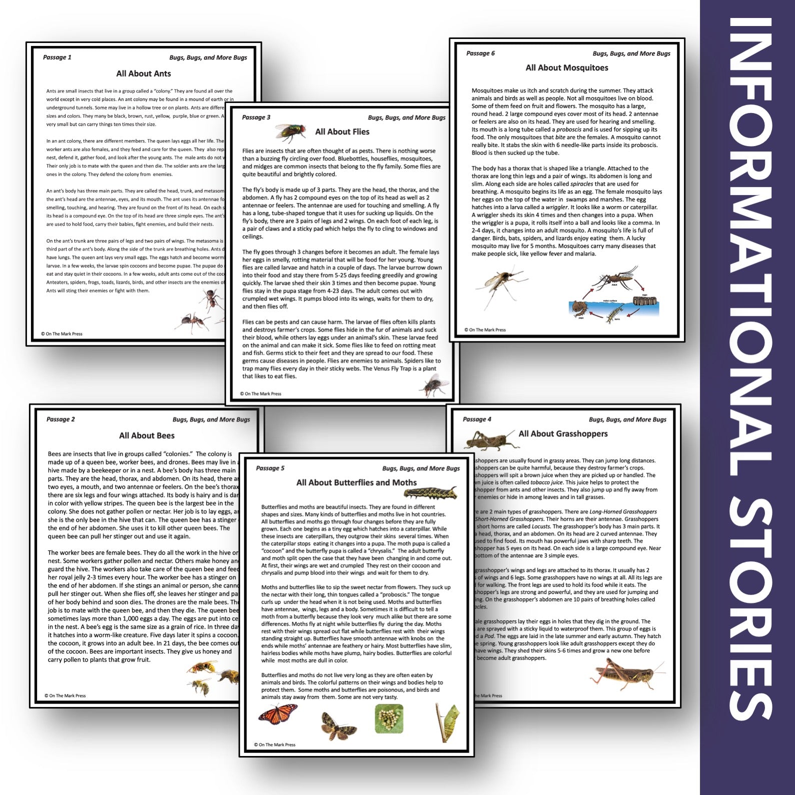 Bugs, Bugs & More Bugs Reading Information Stories Grades 2-3 Google Slides & Printables
