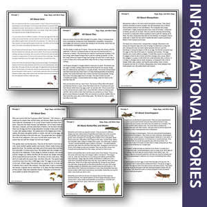 Bugs, Bugs & More Bugs Reading Information Stories Grades 2-3 Google Slides & Printables
