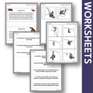 Bugs, Bugs & More Bugs Research Activities Grades 2-3 Google Slides & Printables