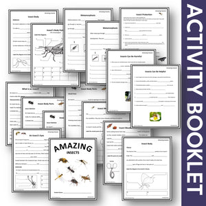 Amazing Insects Student Booklet Grades 4-6 - Google Slides & Printables!