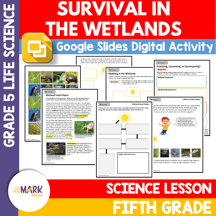 Survival in the Wetlands Lesson, Google Slides & Printables Grade 5 Distance Learning