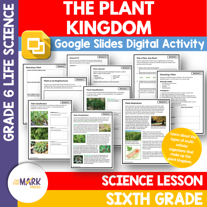 The Plant Kingdom Lessons, Grade 6 Google Slides & Printables Distance Learning