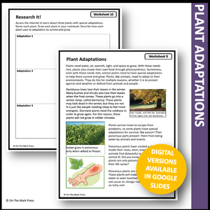 The Plant Kingdom Lessons, Grade 6 Google Slides & Printables Distance Learning