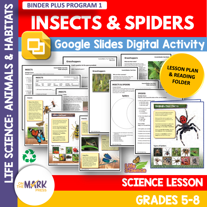 Insects & Spiders Activities & Colour Reading Folder Gr 3-4+ Google Slides Distance Learning