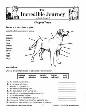 Incredible Journey, by Sheila Burnford Lit Link Grades 4-6