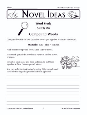 Novel Ideas Using Bloom's Taxonomy! -Activities for ANY Novel! Grades 4-6