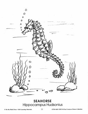 Sea Creatures Black & White Picture Collection Grades 1-8