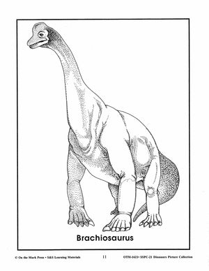 Dinosaurs Black & White Picture Collection Grades K-8