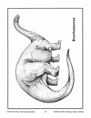 Dinosaurs Black & White Picture Collection Grades K-8