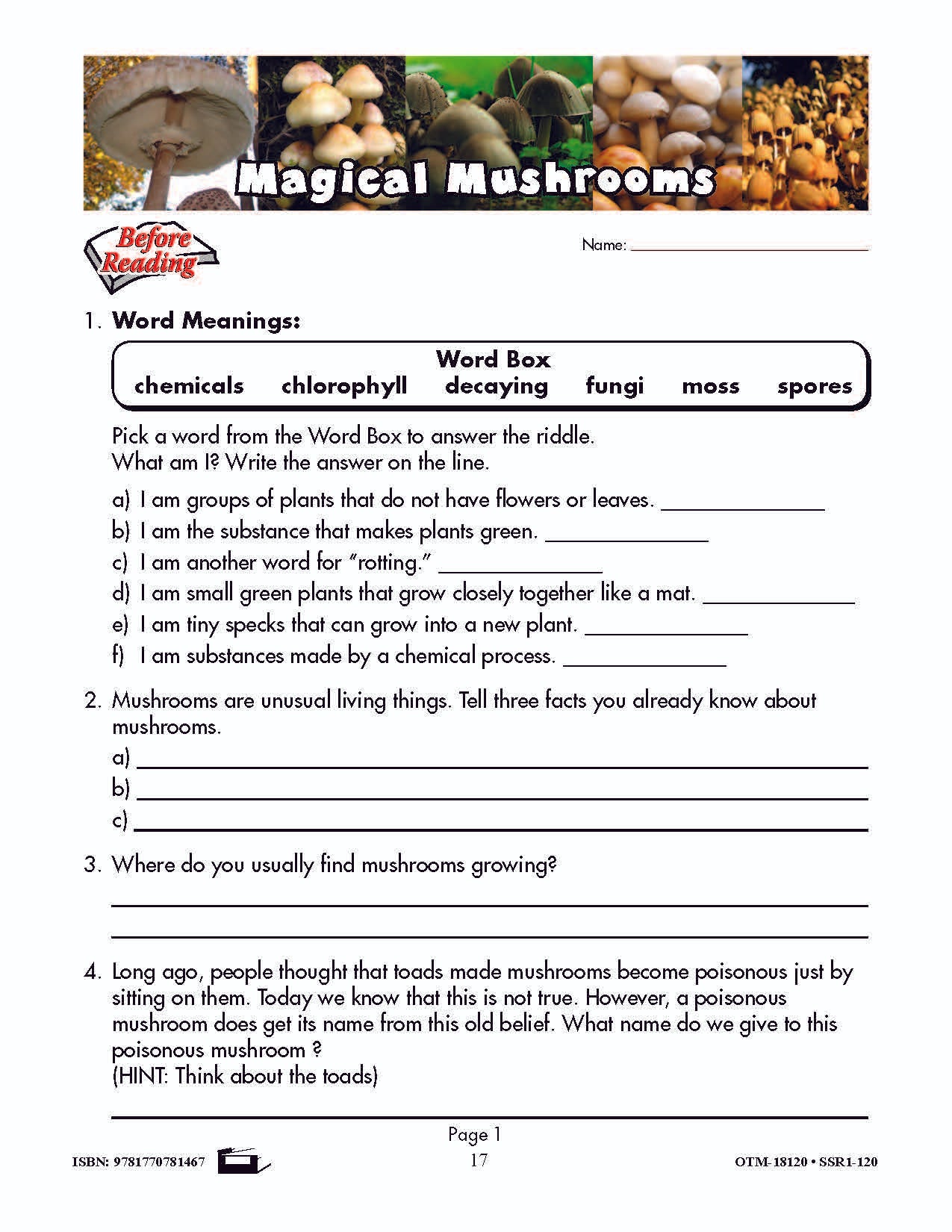 It's a Fact! Develop Non-Fiction Reading Skills Grades 4-6