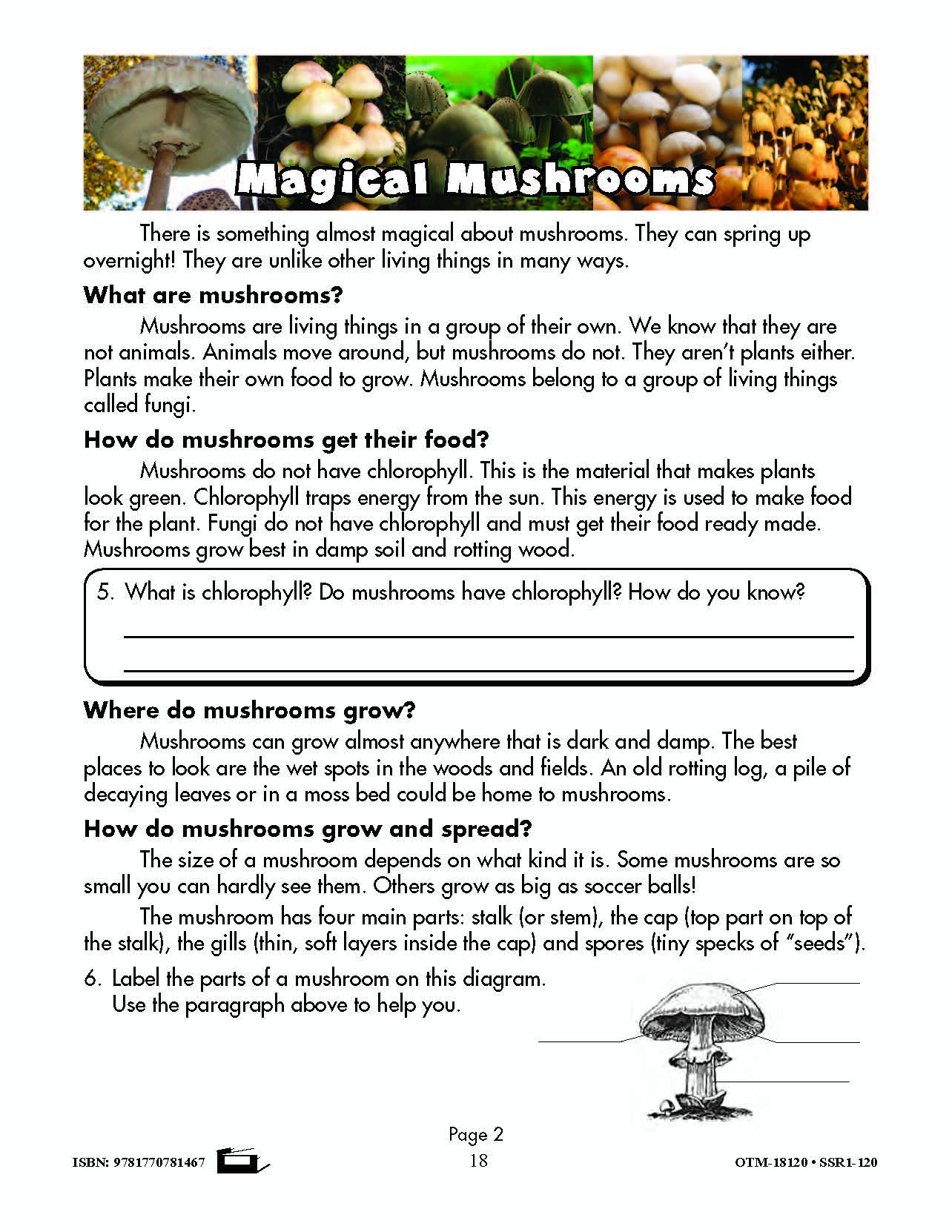 It's a Fact! Develop Non-Fiction Reading Skills Grades 4-6