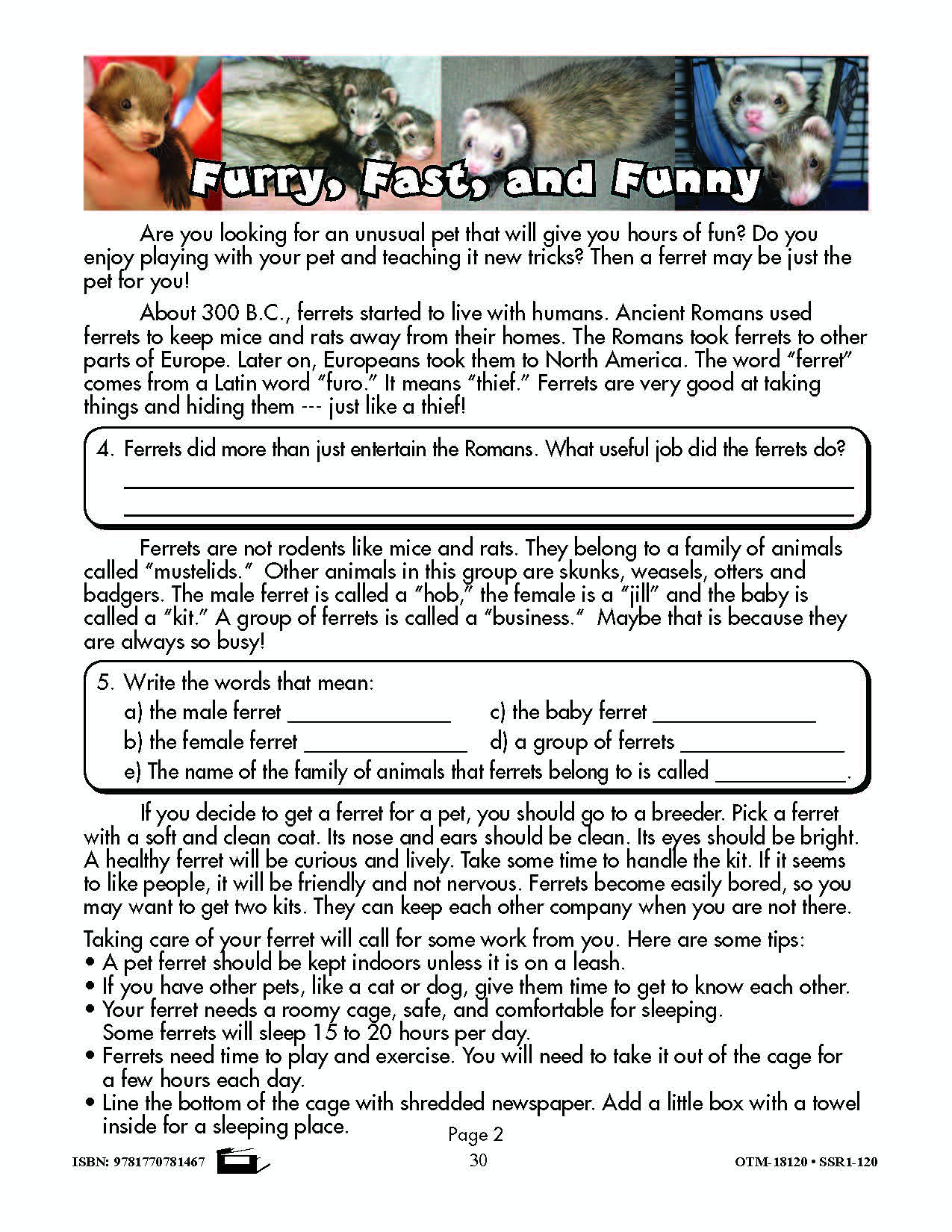 It's a Fact! Develop Non-Fiction Reading Skills Grades 4-6