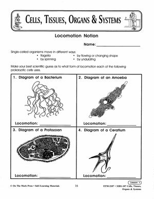 Cells, Tissues & Organ Systems Grades 7-8