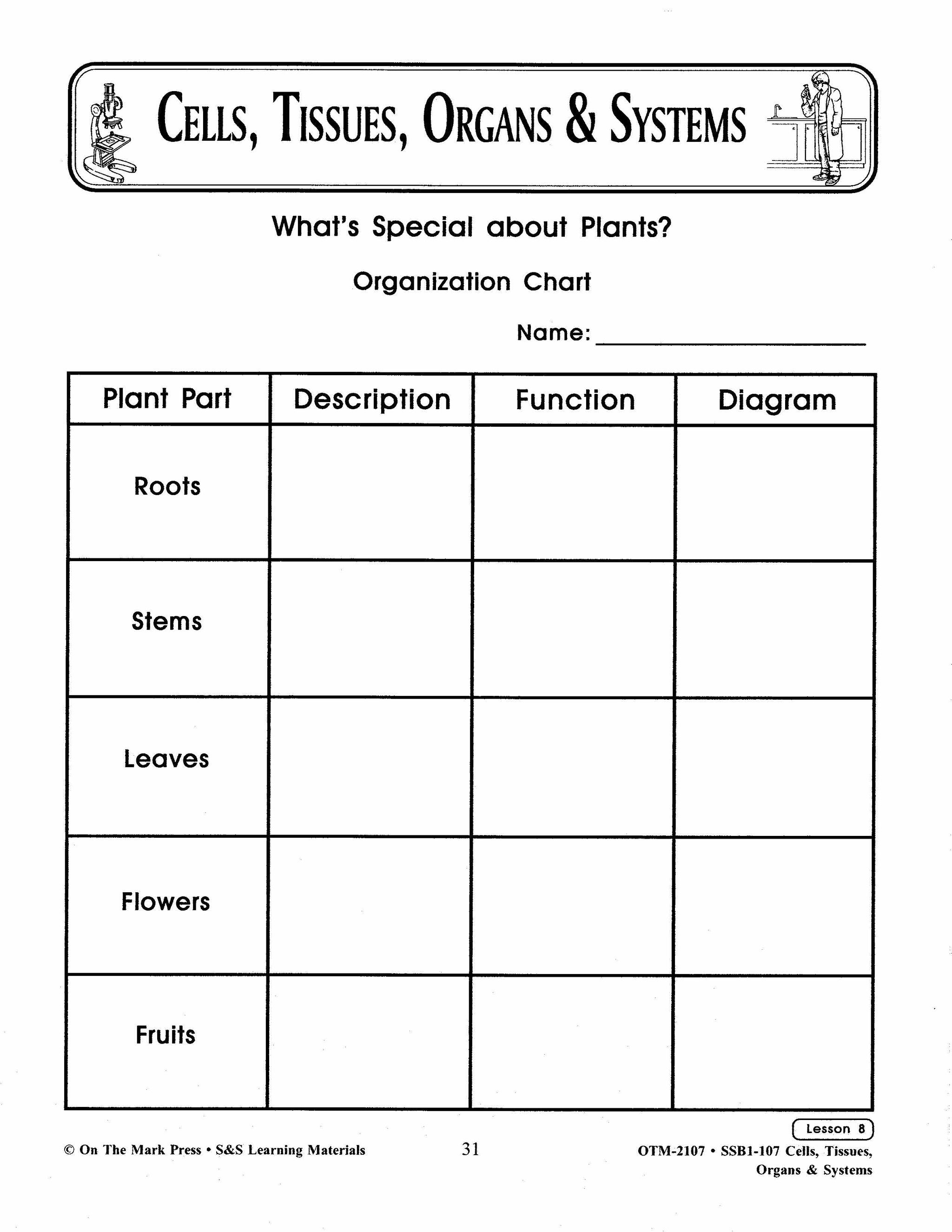 Cells Tissues Organ Systems Grades 7 8 cells-tissues-organ-systems-grades-7-8