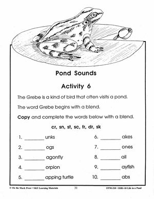 Life in a Pond Grades 3-4