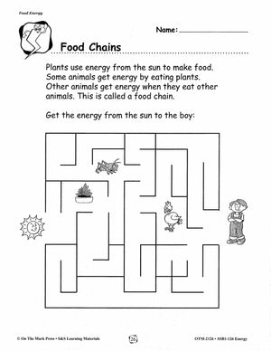 Energy Types and Experiments Grades 1-3