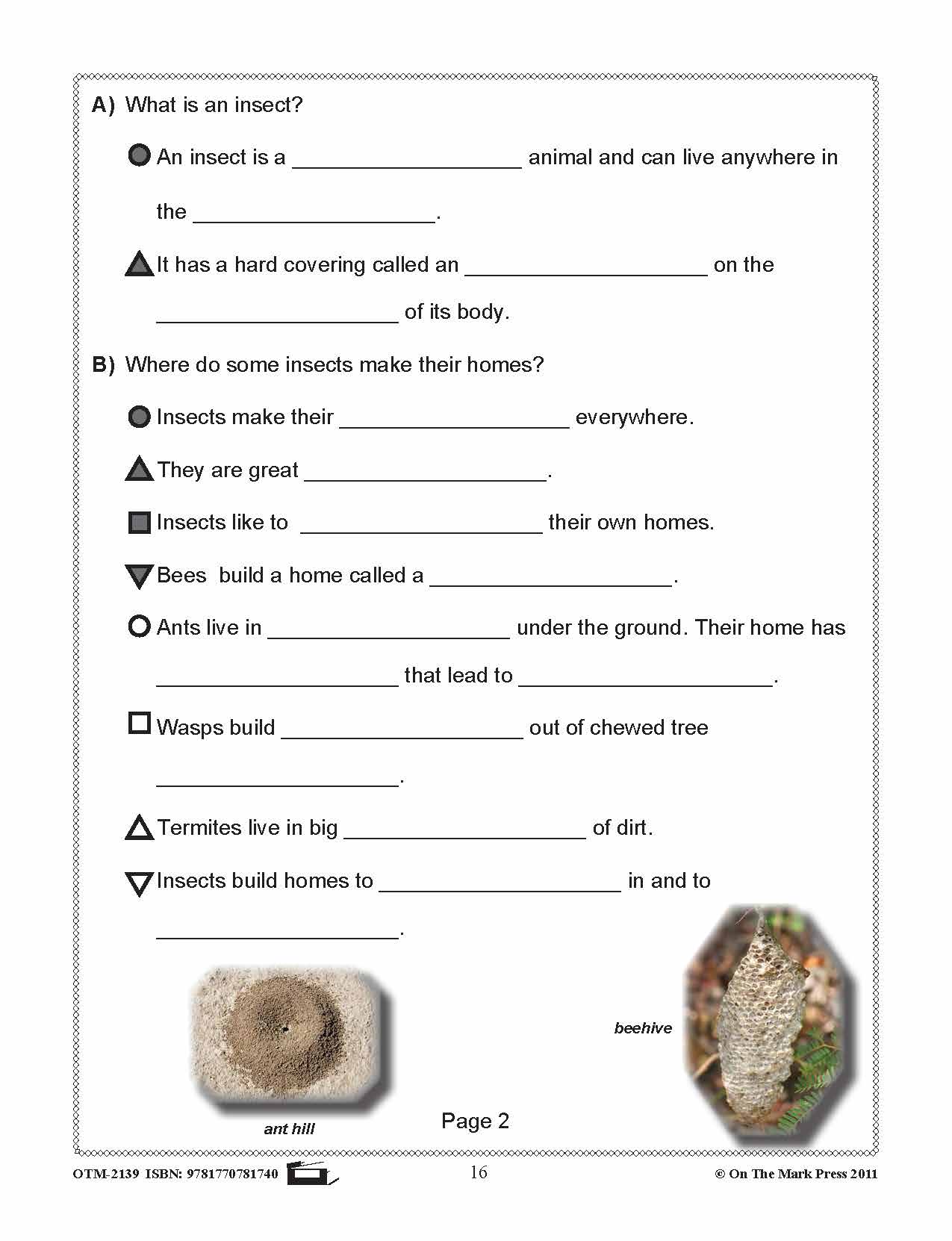 Bugs, Bugs & More Bugs Grades 2-3