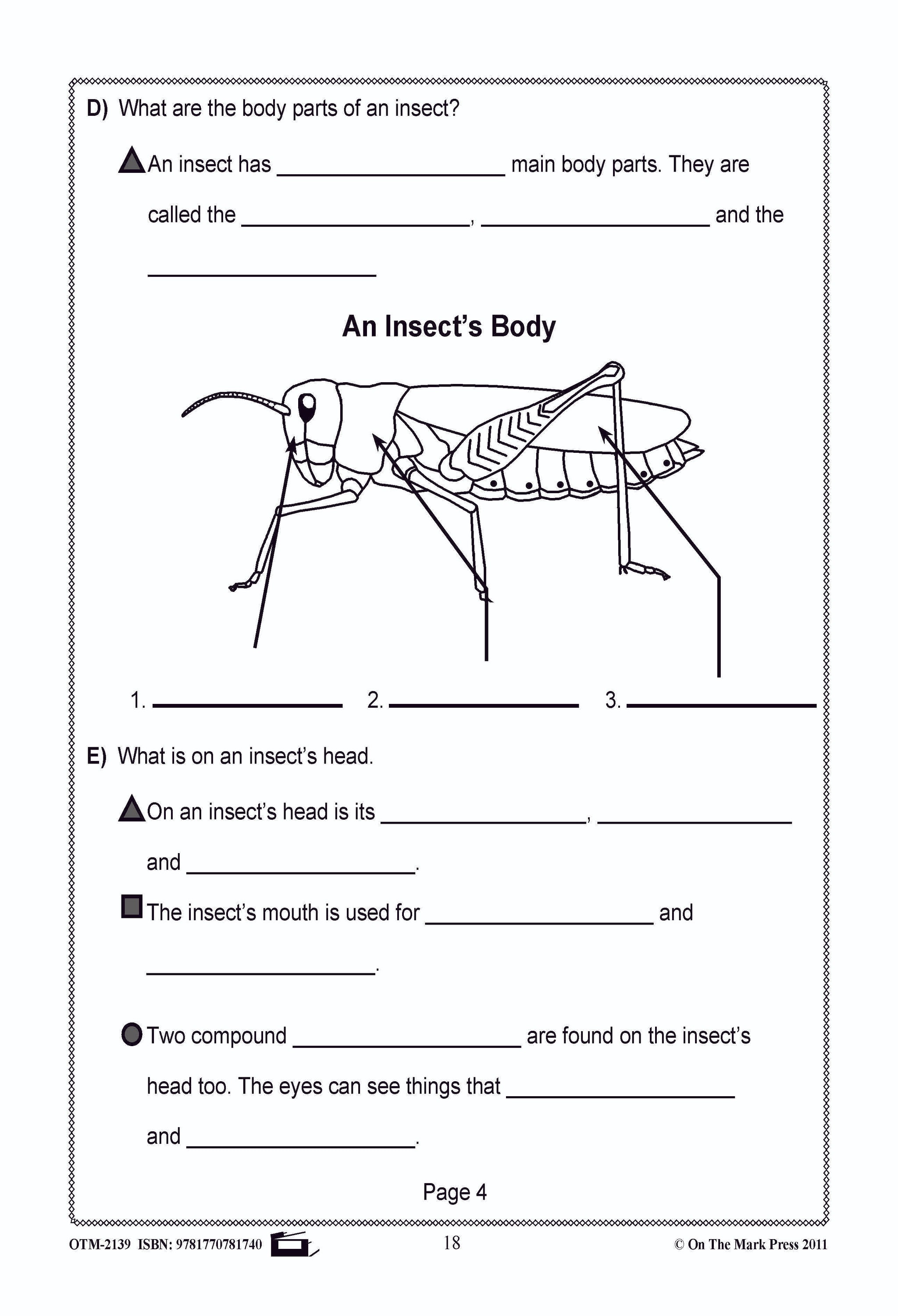 Bugs, Bugs & More Bugs Grades 2-3