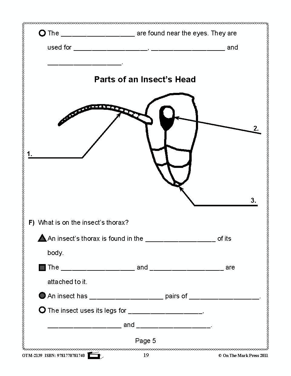 Bugs, Bugs & More Bugs Grades 2-3