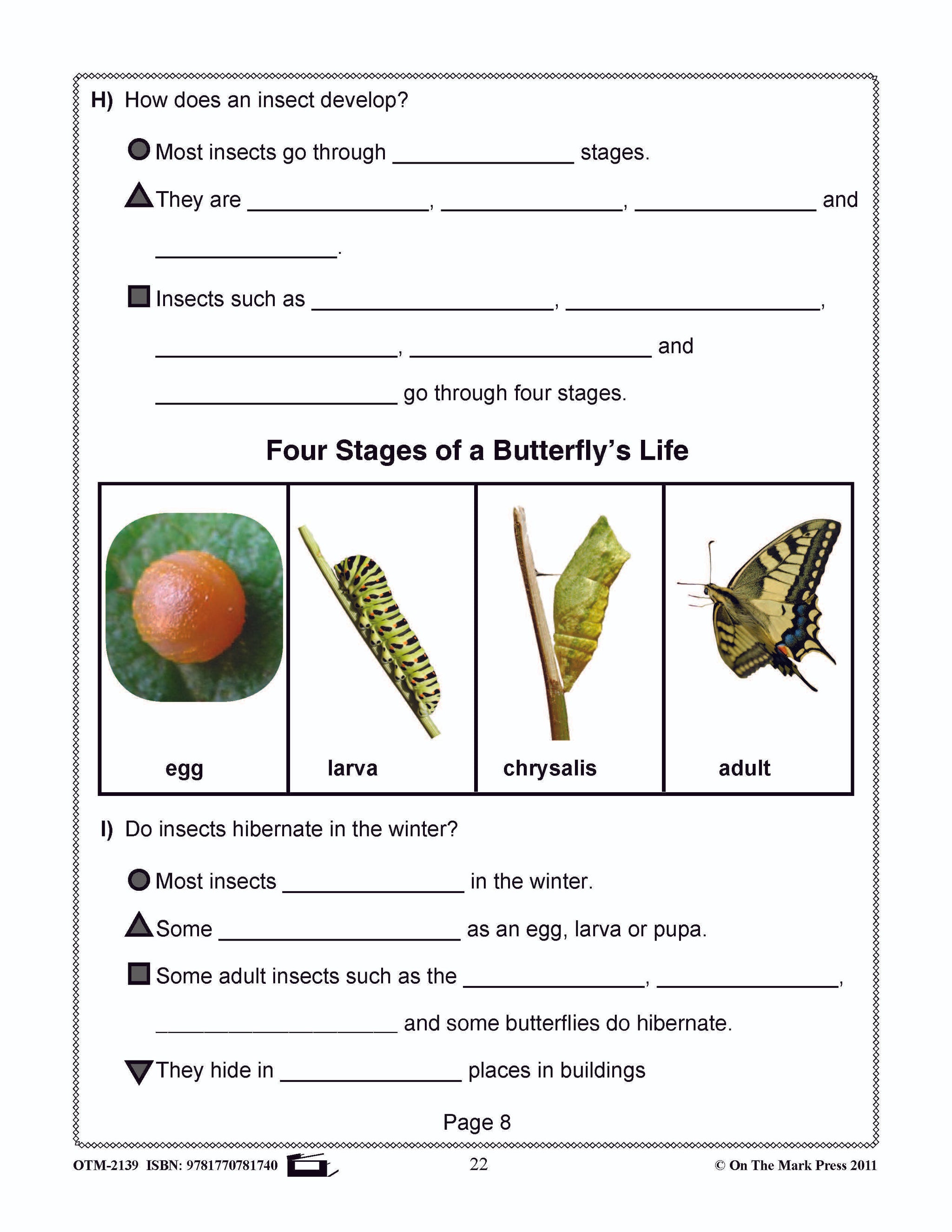 Bugs, Bugs & More Bugs Grades 2-3