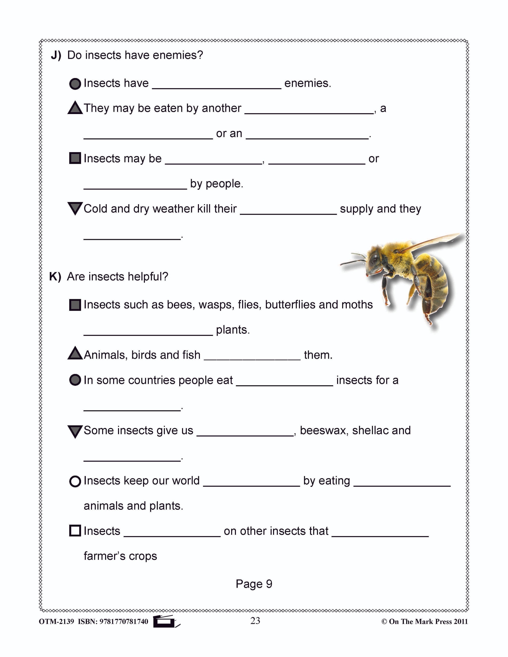 Bugs, Bugs & More Bugs Grades 2-3