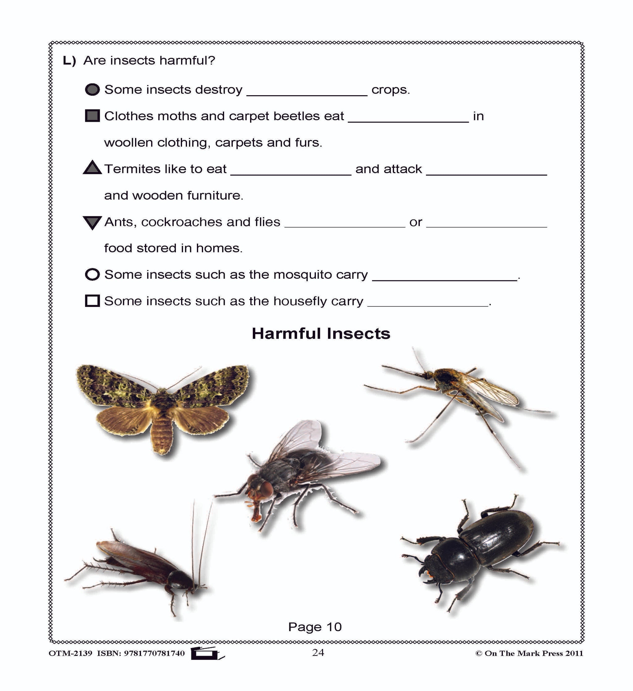 Bugs, Bugs & More Bugs Grades 2-3