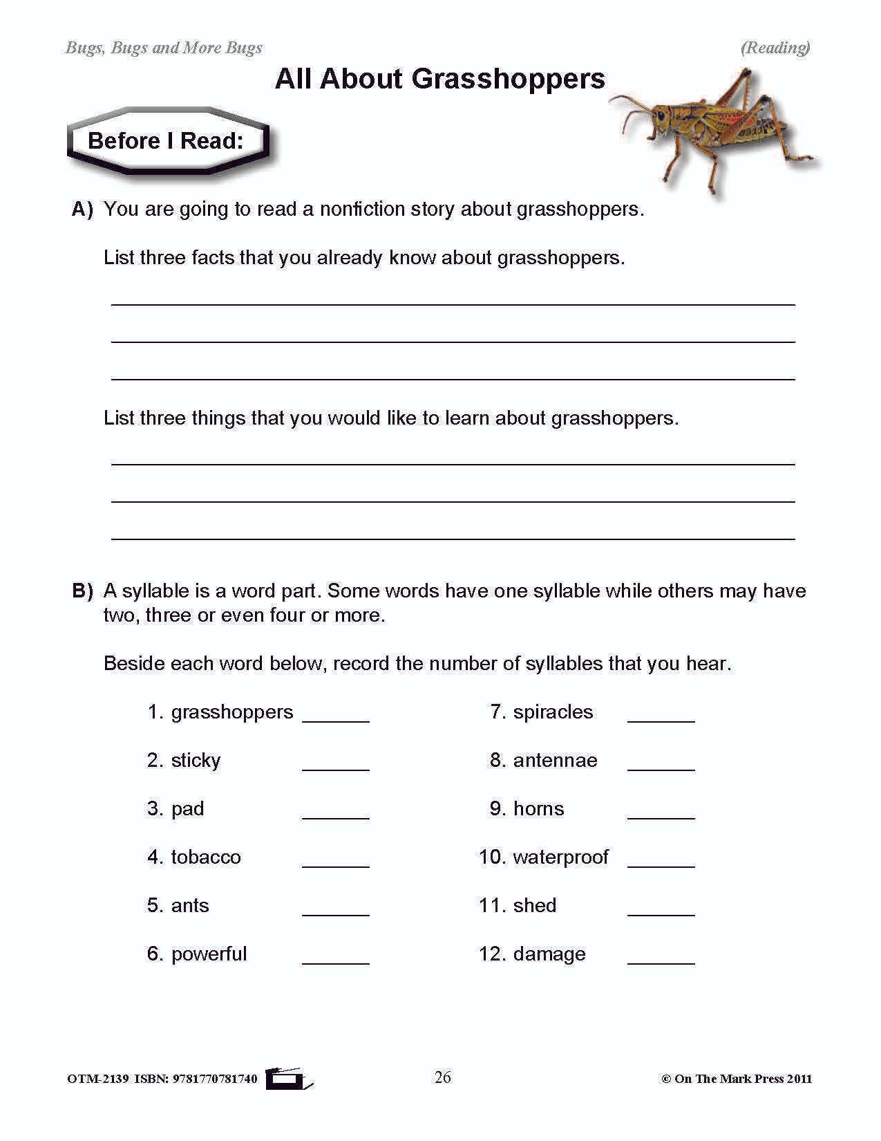 Bugs, Bugs & More Bugs Grades 2-3