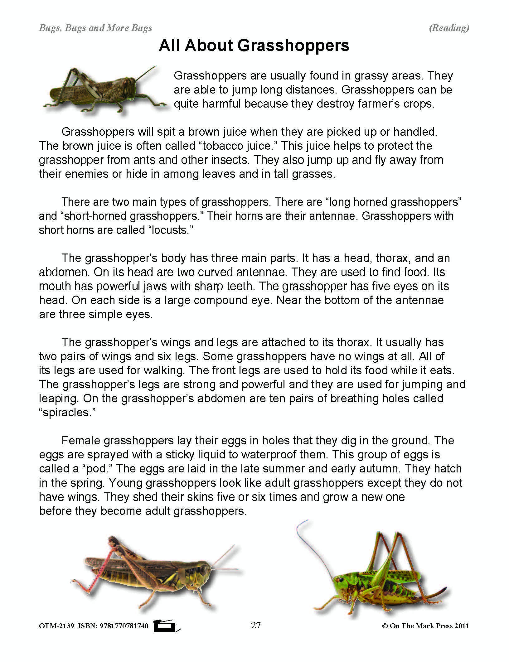 Bugs, Bugs & More Bugs Grades 2-3