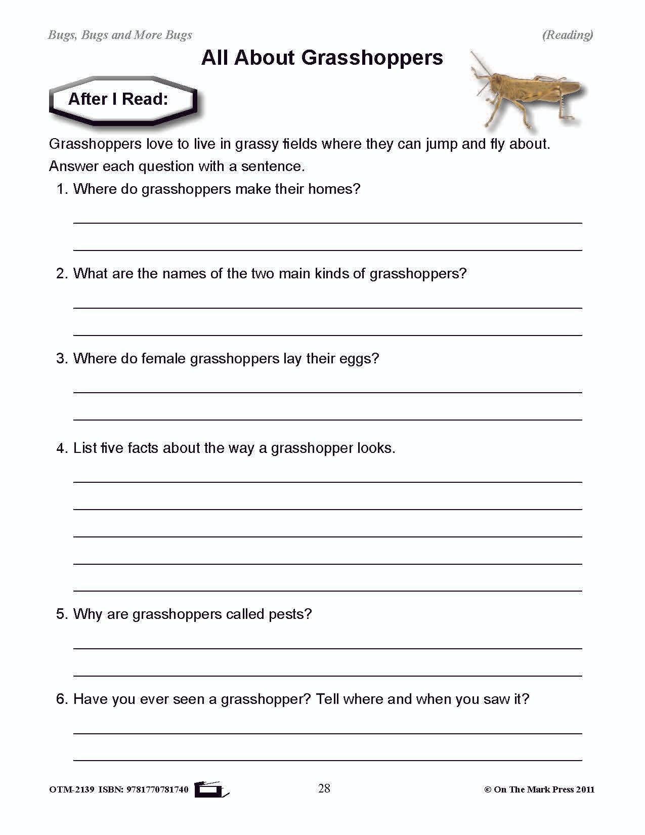 Bugs, Bugs & More Bugs Grades 2-3