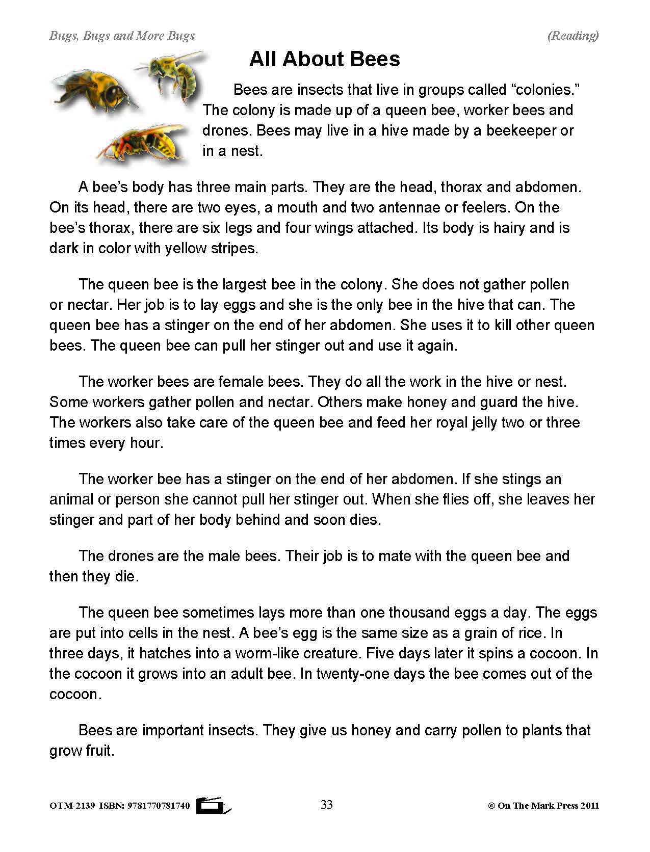 Bugs, Bugs & More Bugs Grades 2-3