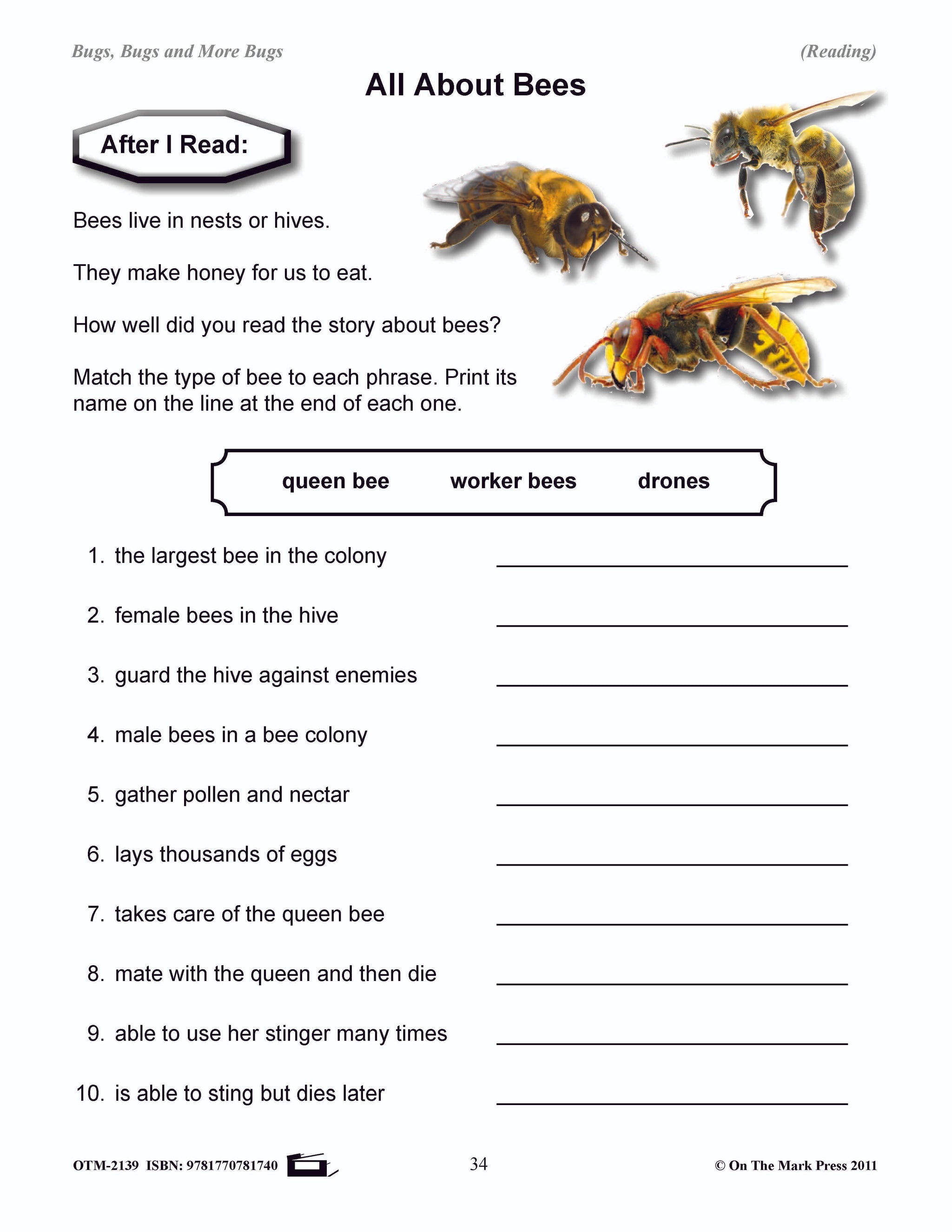 Bugs, Bugs & More Bugs Grades 2-3