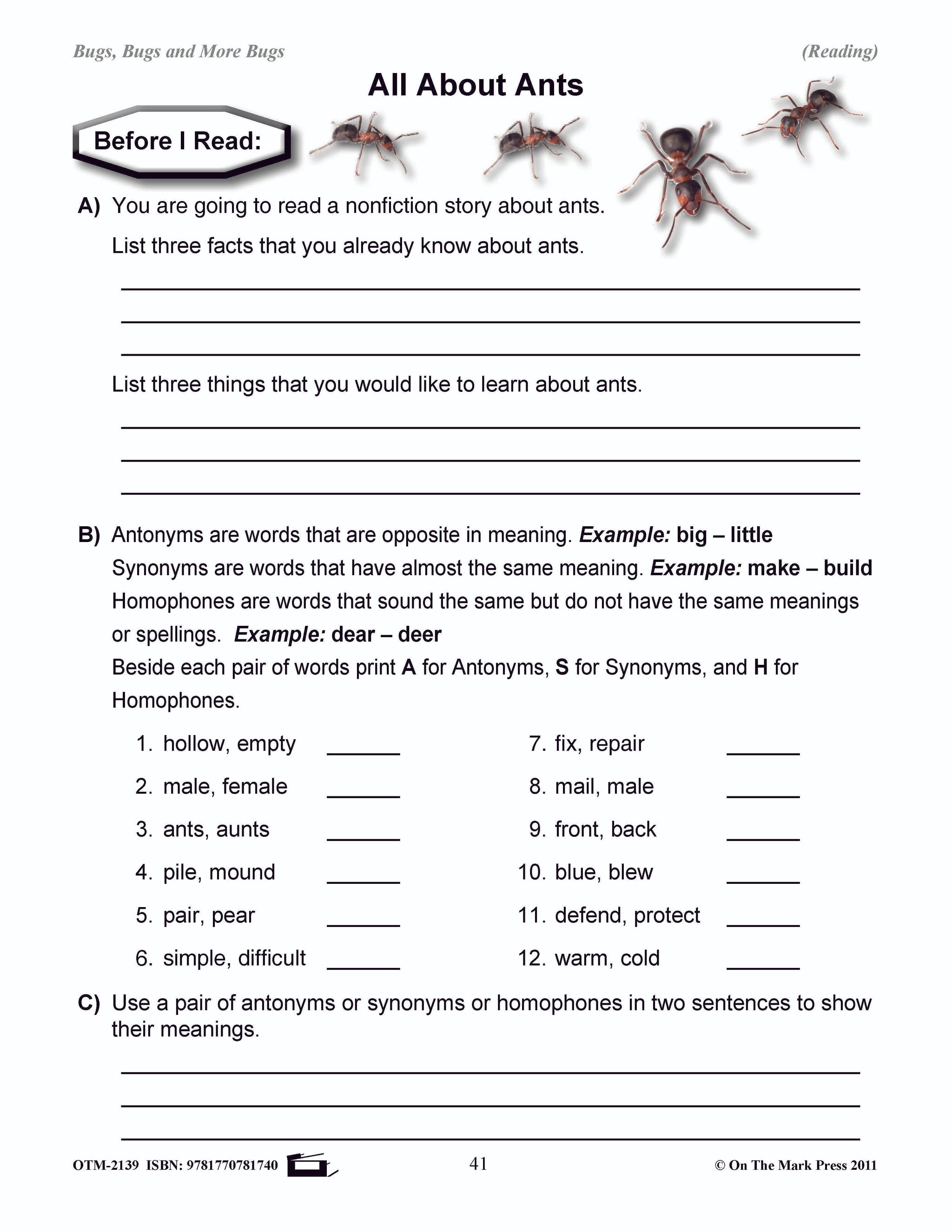 Bugs, Bugs & More Bugs Grades 2-3
