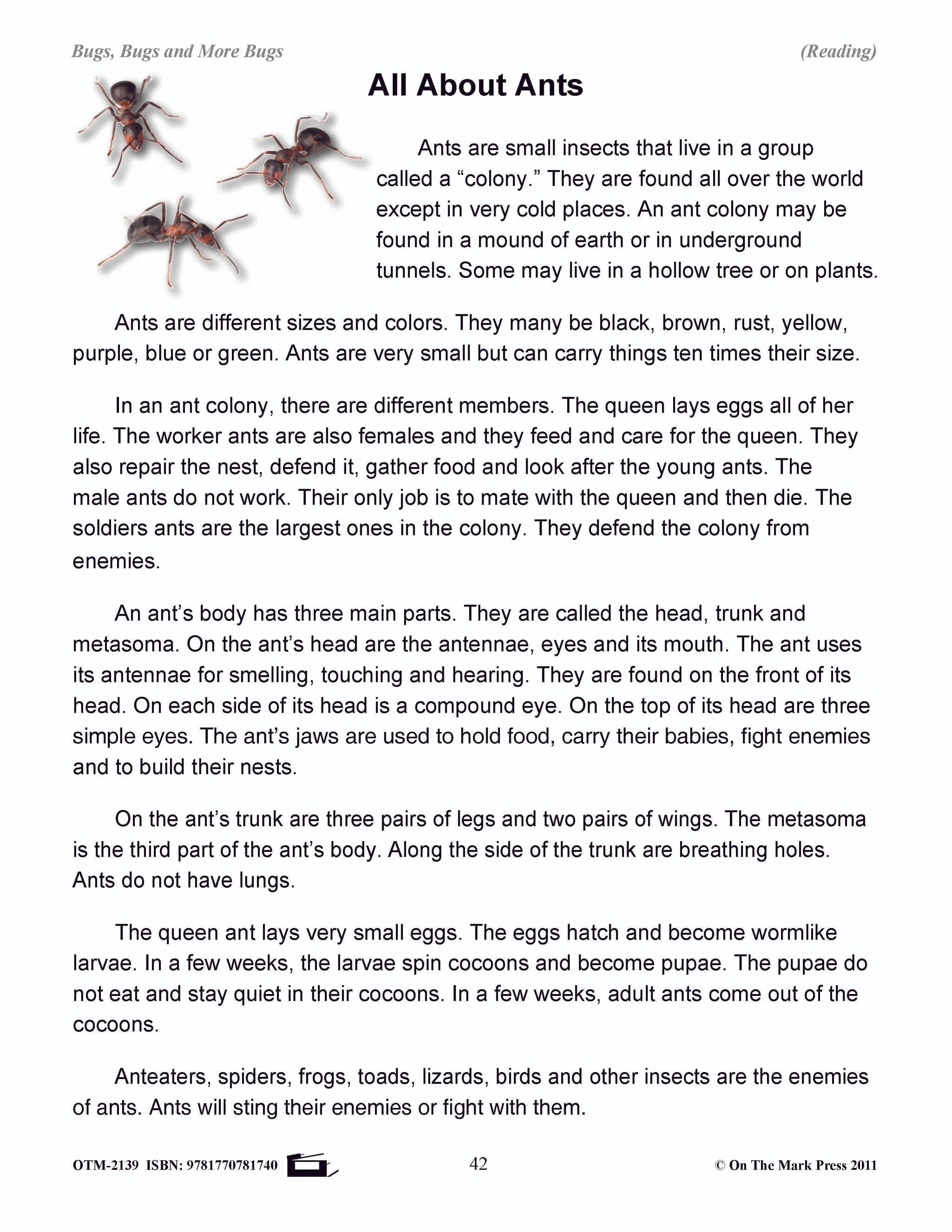 Bugs, Bugs & More Bugs Grades 2-3