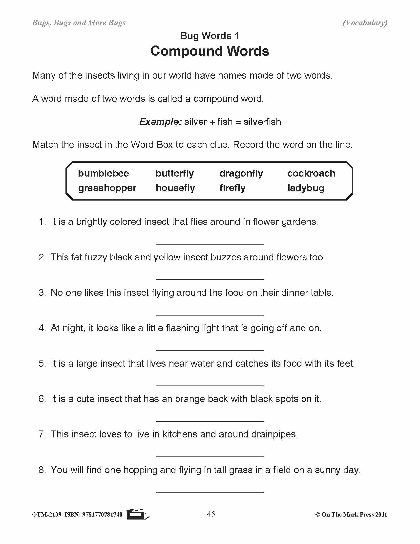 Bugs, Bugs & More Bugs Grades 2-3