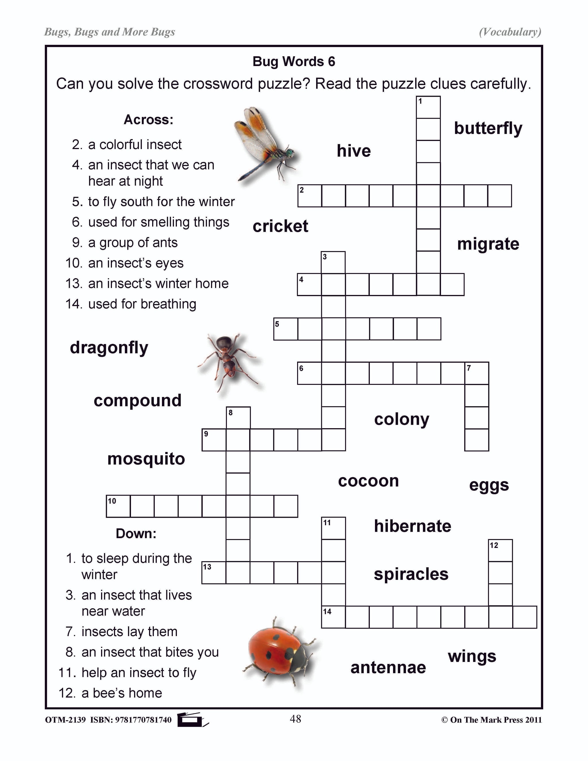 Bugs, Bugs & More Bugs Grades 2-3